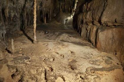 los-humanos-del-paleolitico-sabian-que-piedra-servia-para-fabricar-herramientas