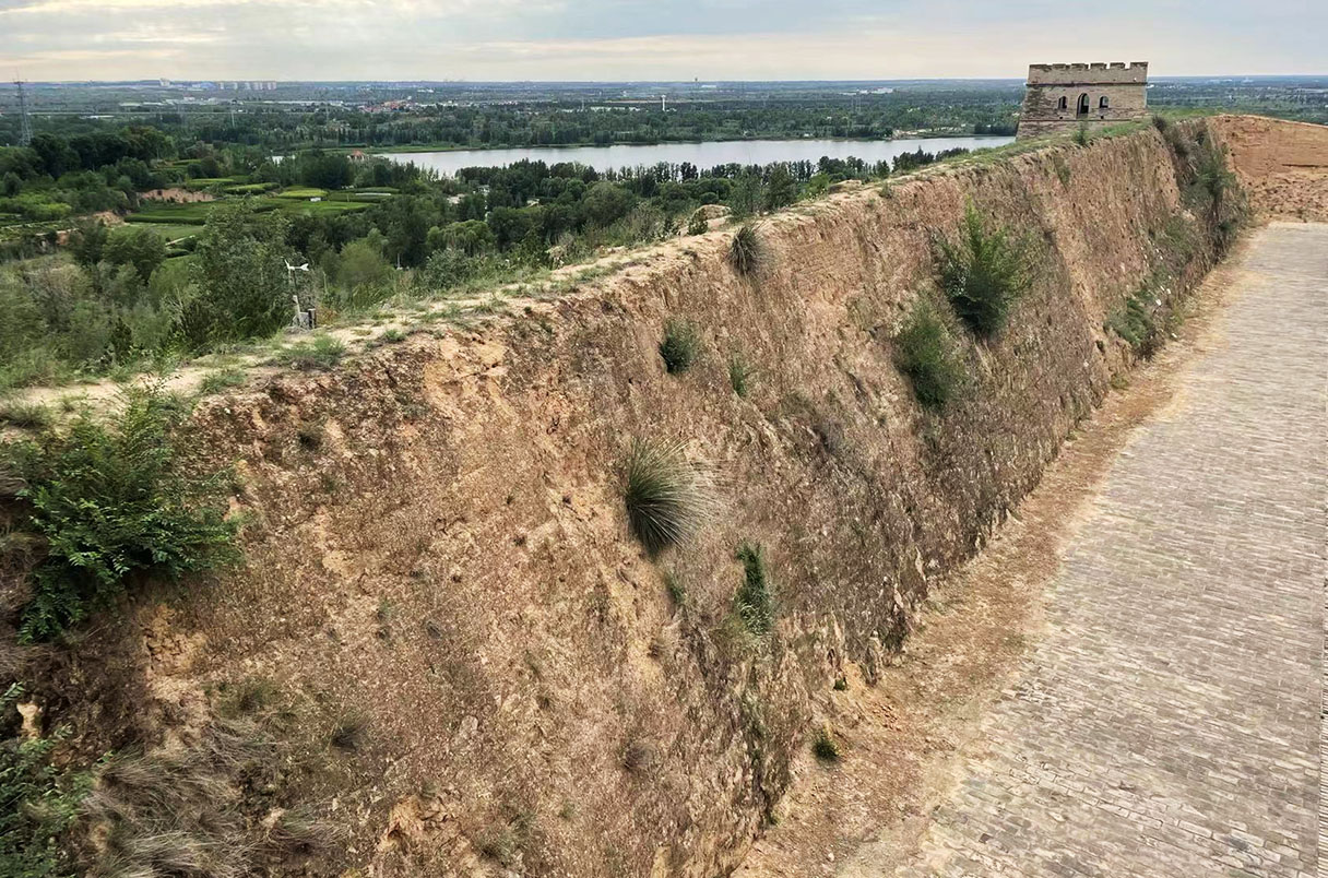 el-asombroso-organismo-vivo-que-protege-a-la-gran-muralla-china