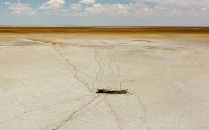 investigadores-plantean-solucion-al-cambio-climatico,-la-perdida-de-biodiversidad-y-la-injusticia-social