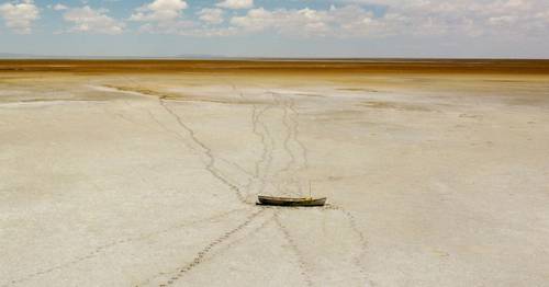 investigadores-plantean-solucion-al-cambio-climatico,-la-perdida-de-biodiversidad-y-la-injusticia-social