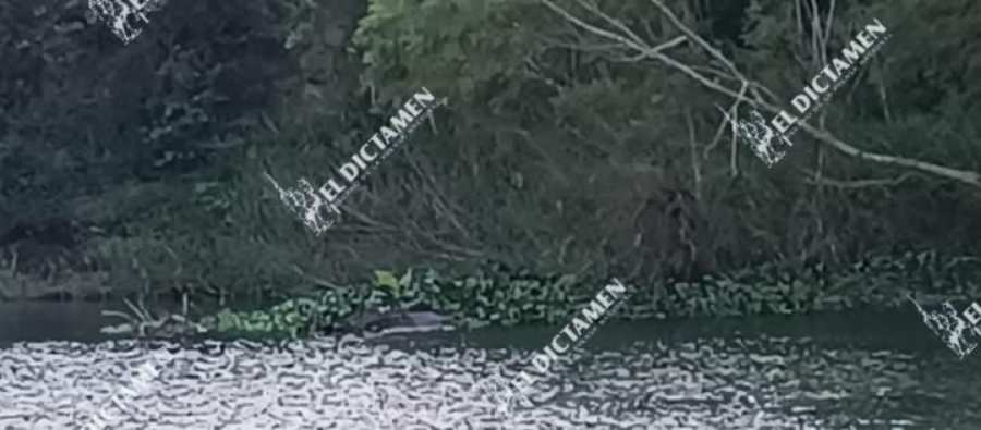 Localizan el cuerpo de un hombre flotando en Río La Antigua