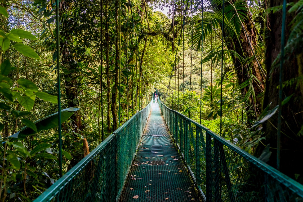 puentes-colgantes-costa-rica