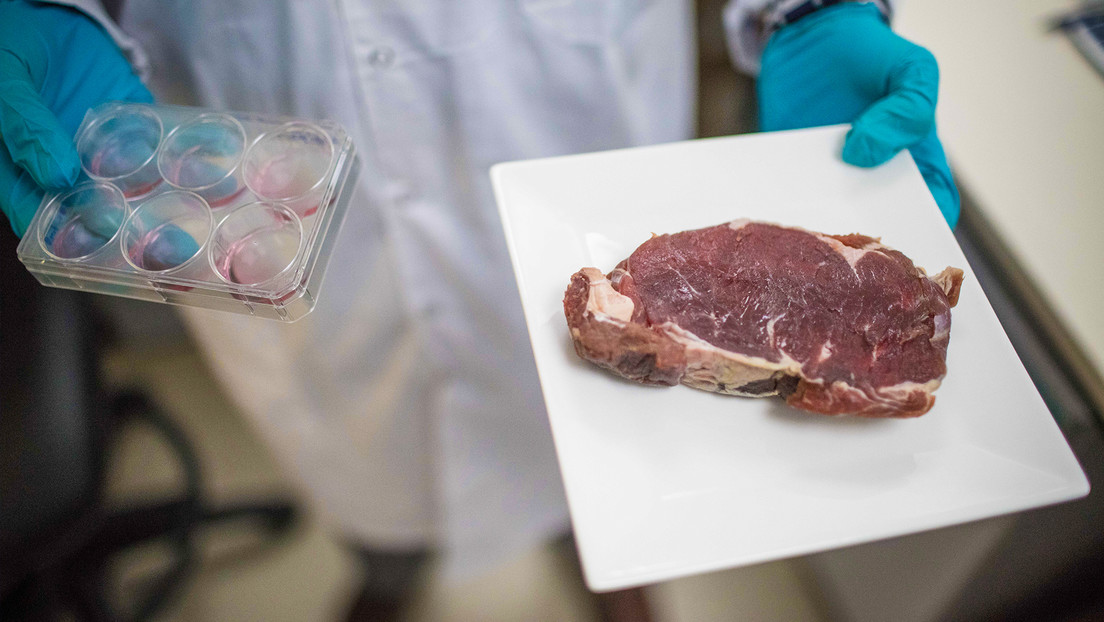 Israel se convierte en el primer país del mundo en autorizar la venta de carne de vacuno cultivada