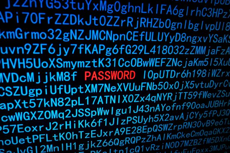 Código web con la palabra Password en rojo