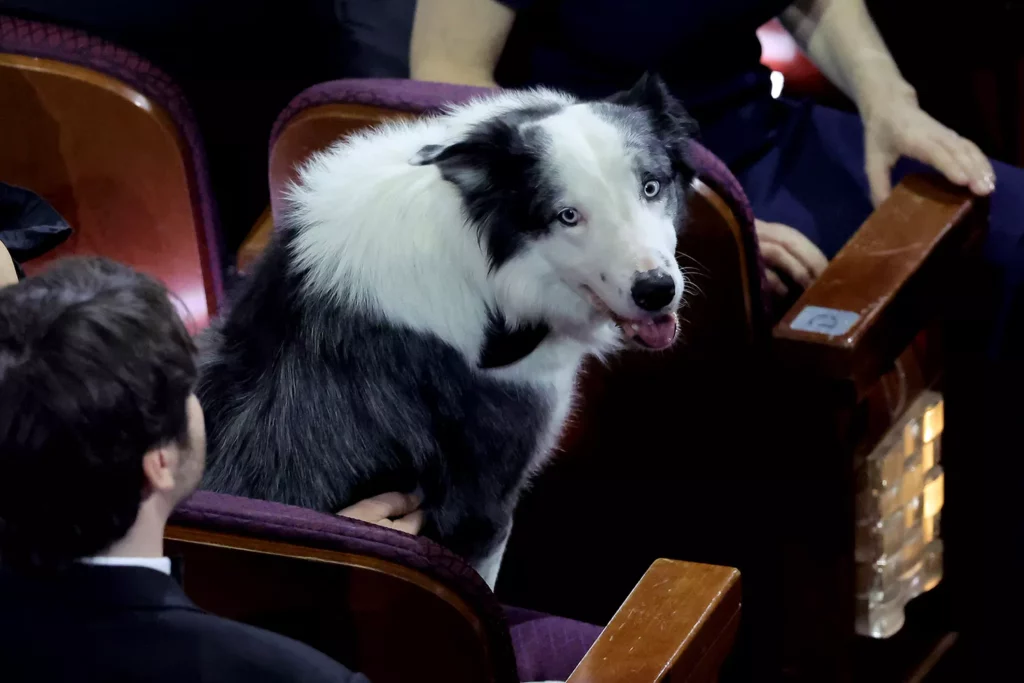 ¡Messi sí vino a los Oscars 2024!