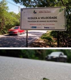 disenan-en-brasil-aplicacion-para-proteger-a-los-animales-en-carreteras