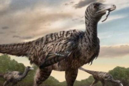 descubren-huellas-de-velociraptor-de-tamano-mayor-al-rango-de-la-especie