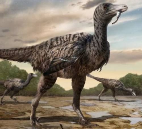 descubren-huellas-de-velociraptor-de-tamano-mayor-al-rango-de-la-especie