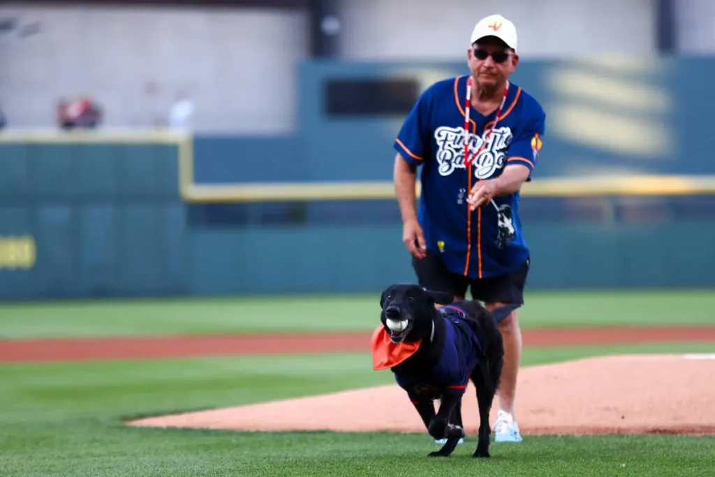 Finn, famoso bat dog de los Aviators, se retira del beisbol a los 12 años