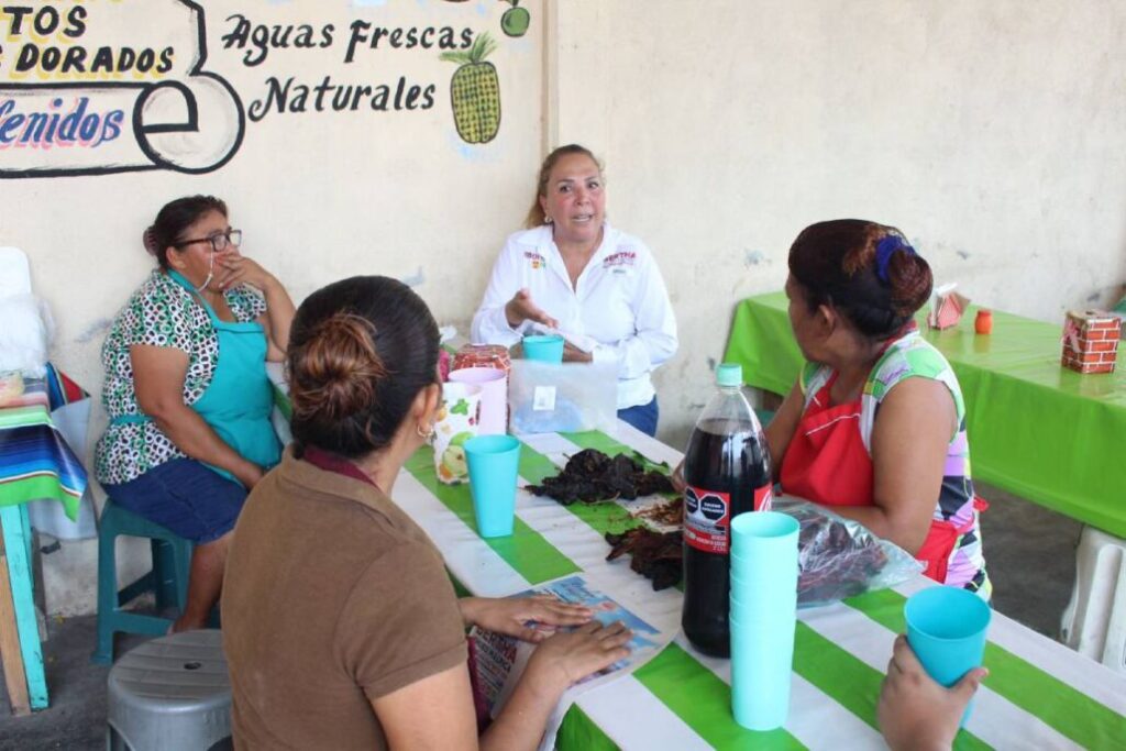 Bertha Ahued Malpica, mencionó que una de las principales preocupaciones de la ciudadanía es el tema del agua y las obras de infraestructura hidráulica como el drenaje.