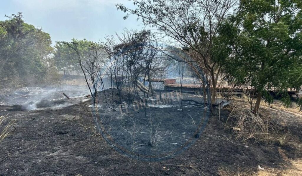 Según los trabajadores, las llamas se iniciaron en un pastizal y posteriormente debido a que no fue controlado a tiempo.