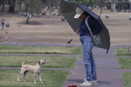 notoria-irritabilidad,-un-efecto-de-las-olas-de-calor-por-la-reduccion-de-serotonina