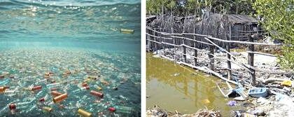 contaminado-con-plasticos,-todo-el-litoral-marino-de-mexico:-cecilia-enriquez-ortiz