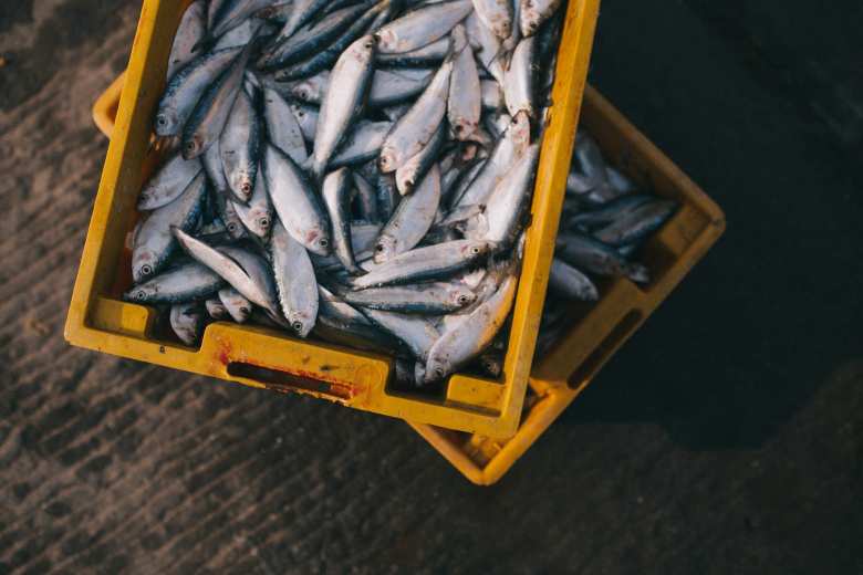 Alerta grave por pescado con anisakis con destino a España