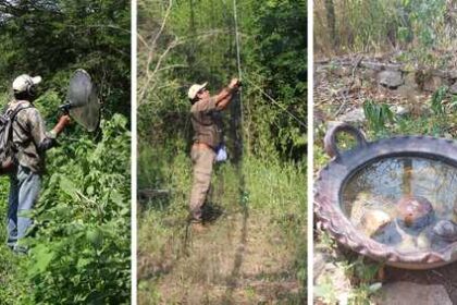 para-salvar-aves-deshidratadas,-especialistas-llenan-embalses-secos-con-agua-acarreada