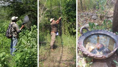 para-salvar-aves-deshidratadas,-especialistas-llenan-embalses-secos-con-agua-acarreada