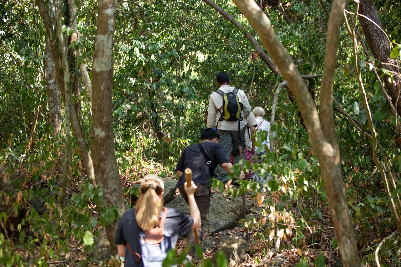 Entre las raices de Langkawi