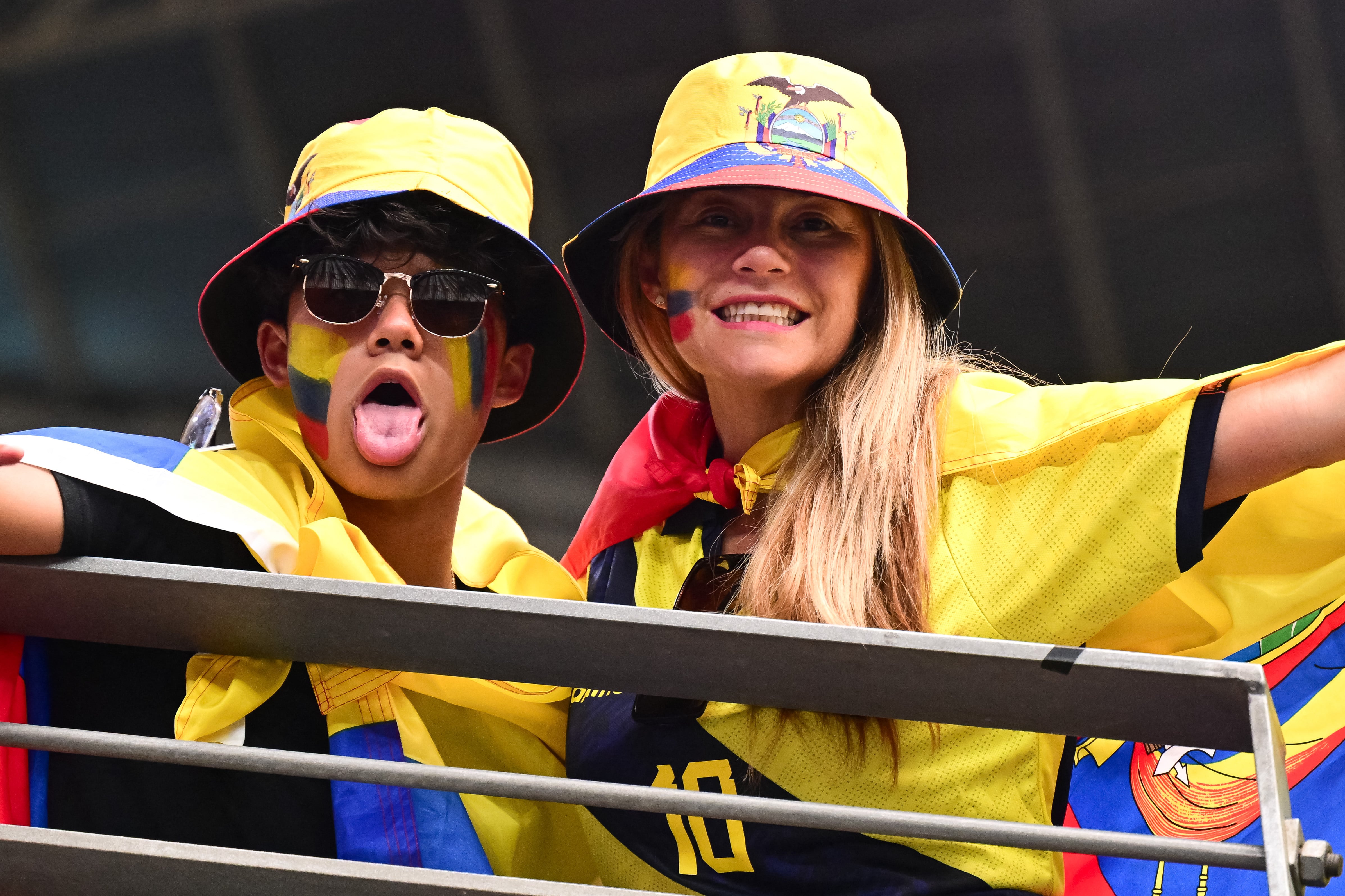 Aficionados previo al México vs Ecuador (Daniel Bartel-USA TODAY Sports)