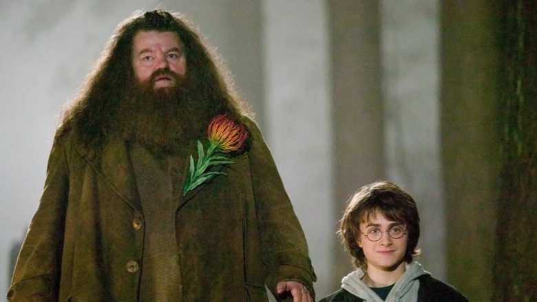 Robbie Coltrane, interpretando a Hadrid, en Harry Potter | HBO