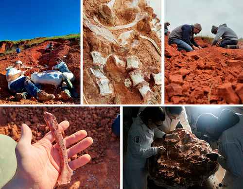 hallan-fosil-de-dinosaurio-de-230-millones-de-anos-tras-fuertes-lluvias-en-el-sur-de-brasil