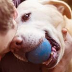 olor-del-estres-humano-afecta-las-emociones-de-los-perros