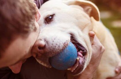 olor-del-estres-humano-afecta-las-emociones-de-los-perros