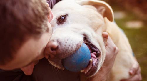 olor-del-estres-humano-afecta-las-emociones-de-los-perros