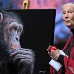 transformar-estilos-de-vida-frenara-calentamiento-global:-jane-goodall