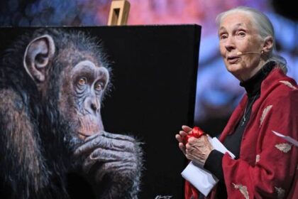 transformar-estilos-de-vida-frenara-calentamiento-global:-jane-goodall