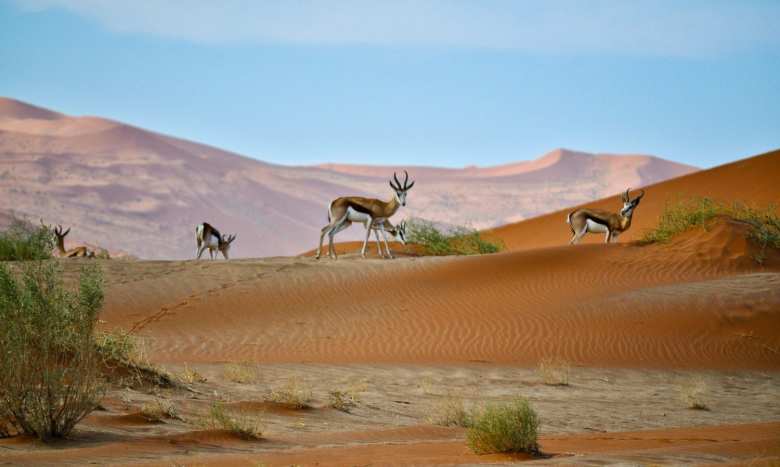 namibia