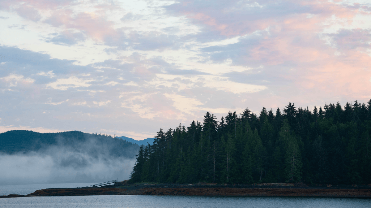 monumentales-totems-plantados-en-islas-brumosas-esto-es-haida-gwaii