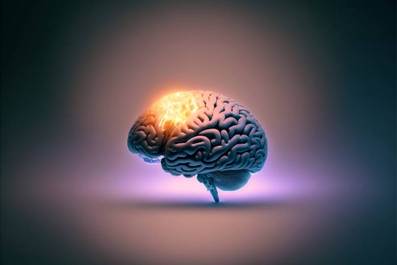 Supercomputadora cerebro humano, imprimir 3D tejido cerebral