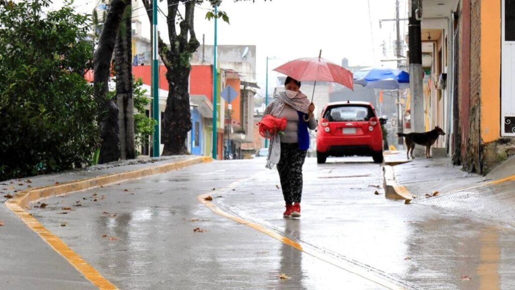 Ubican al 2024 como el cuarto año más seco para el estado de Veracruz. 