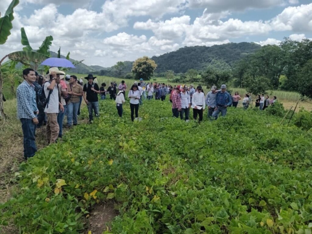 El acervo tecnológico reunido por investigadores del Campo Experimental Cotaxtla a productores, ahora también se lleva a estudiantes