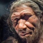 el-oido-de-los-neandertales-revela-claves-de-su-misterioso-origen,-senala-estudio