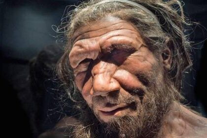 el-oido-de-los-neandertales-revela-claves-de-su-misterioso-origen,-senala-estudio