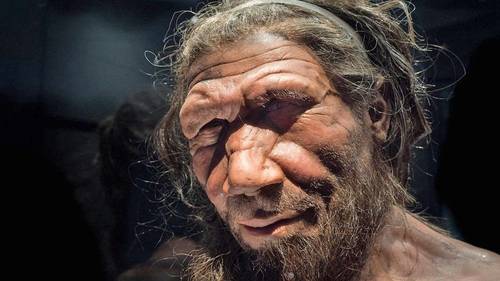 el-oido-de-los-neandertales-revela-claves-de-su-misterioso-origen,-senala-estudio