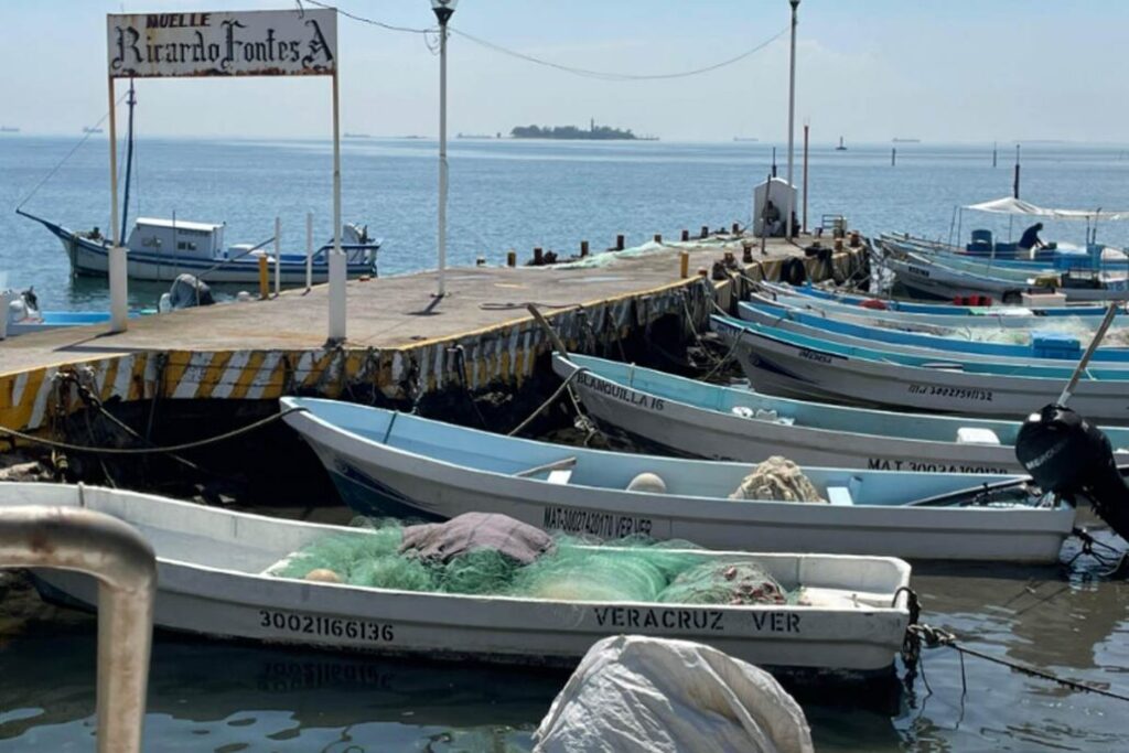 Debido a las fiestas patrias, el pescado no bajo mucho del precio habitual.