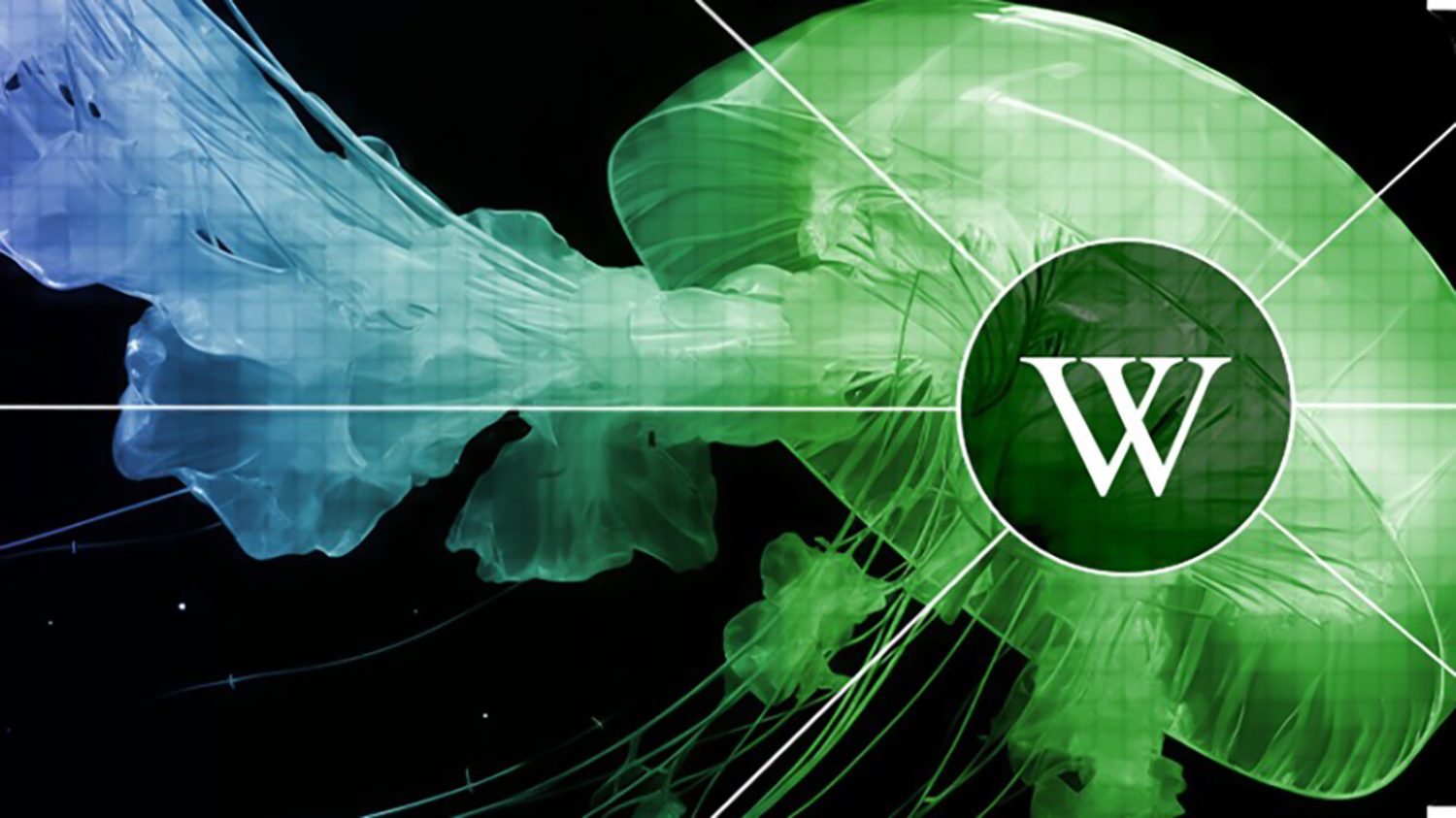 Wikipedia